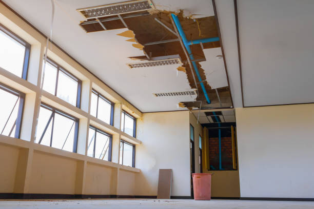 Best Basement water damage restoration  in Chlicothe, IL