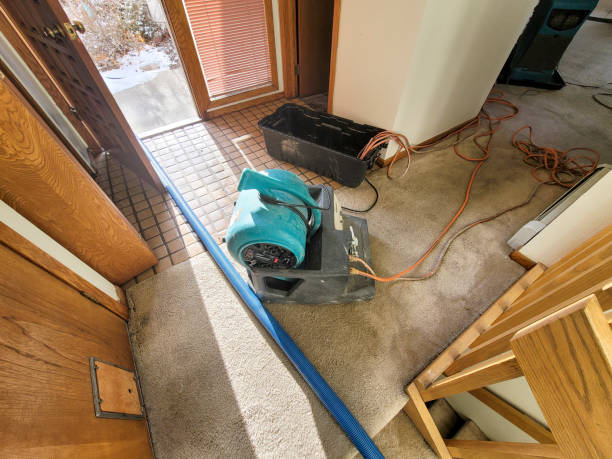 Best Ceiling water damage repair  in Chlicothe, IL