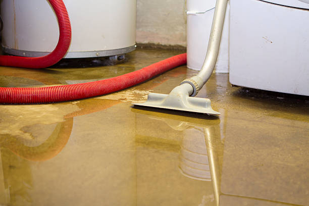 Best Water damage restoration near me  in Chlicothe, IL