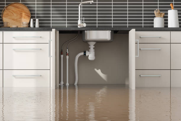 Water damage restoration process in IL