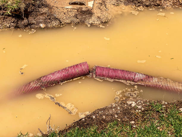 Best Carpet water damage restoration  in Chlicothe, IL